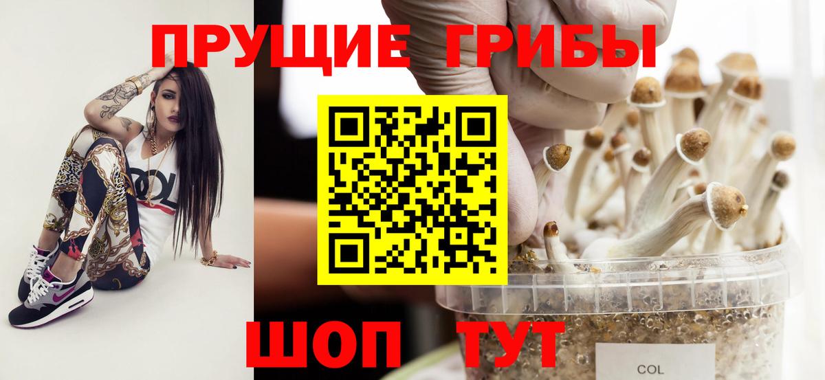 Галлюциногенные грибы GOLDEN TEACHER  Вход с VPN  Королёв 