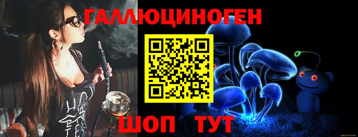 Галлюциногенные грибы Psilocybe Королёв